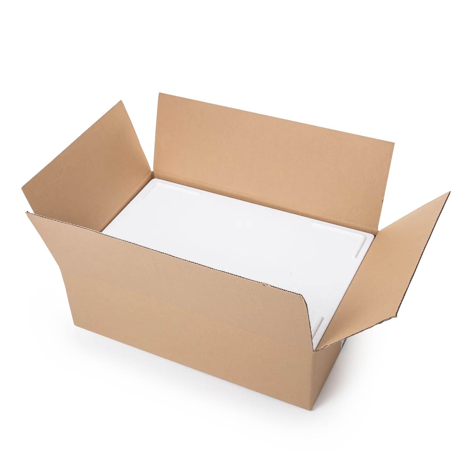 Kühl- und Transportbehälter 12 kg o.E._02018mKmD_