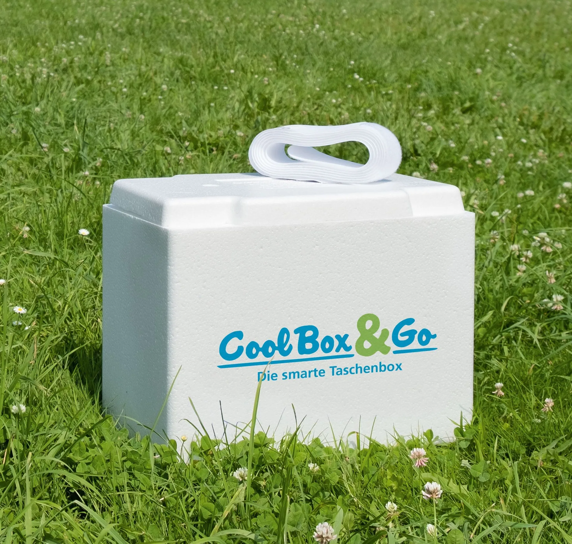 CoolBox & Go - Kühlbox mit Tragegurt_24011_