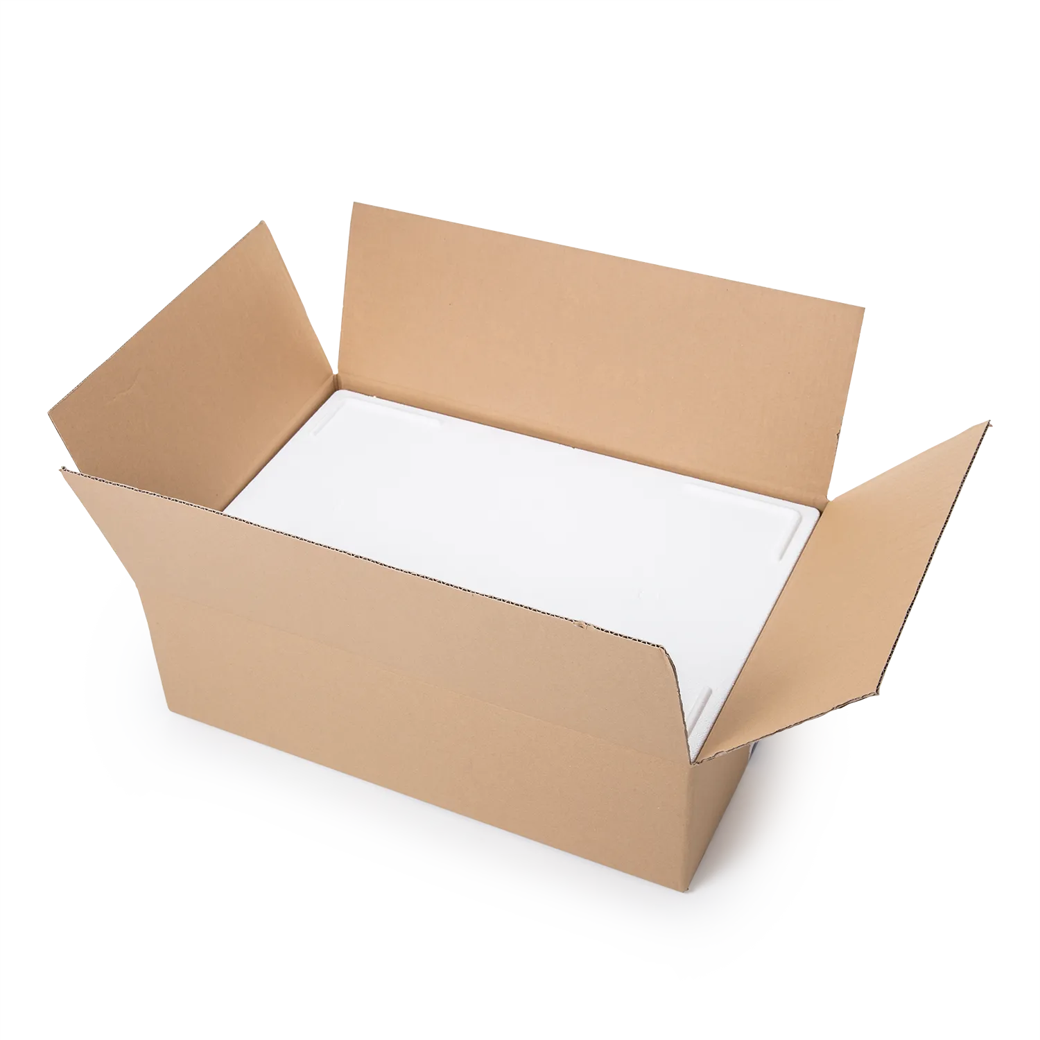 Kühl- und Transportbehälter 12 kg m.E._02020mKmD_