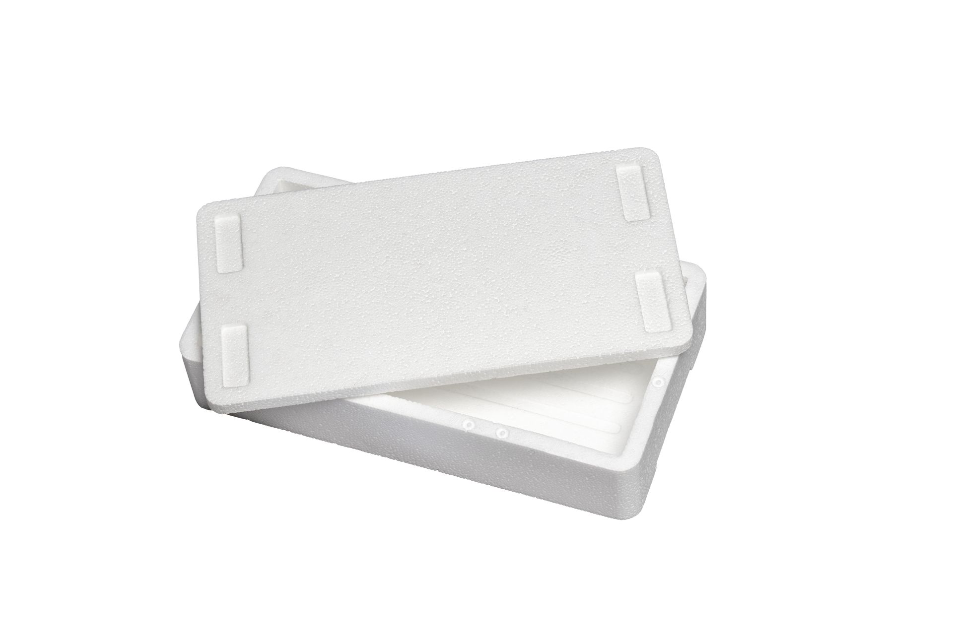Kühl- und Transportbehälter 2 kg E
