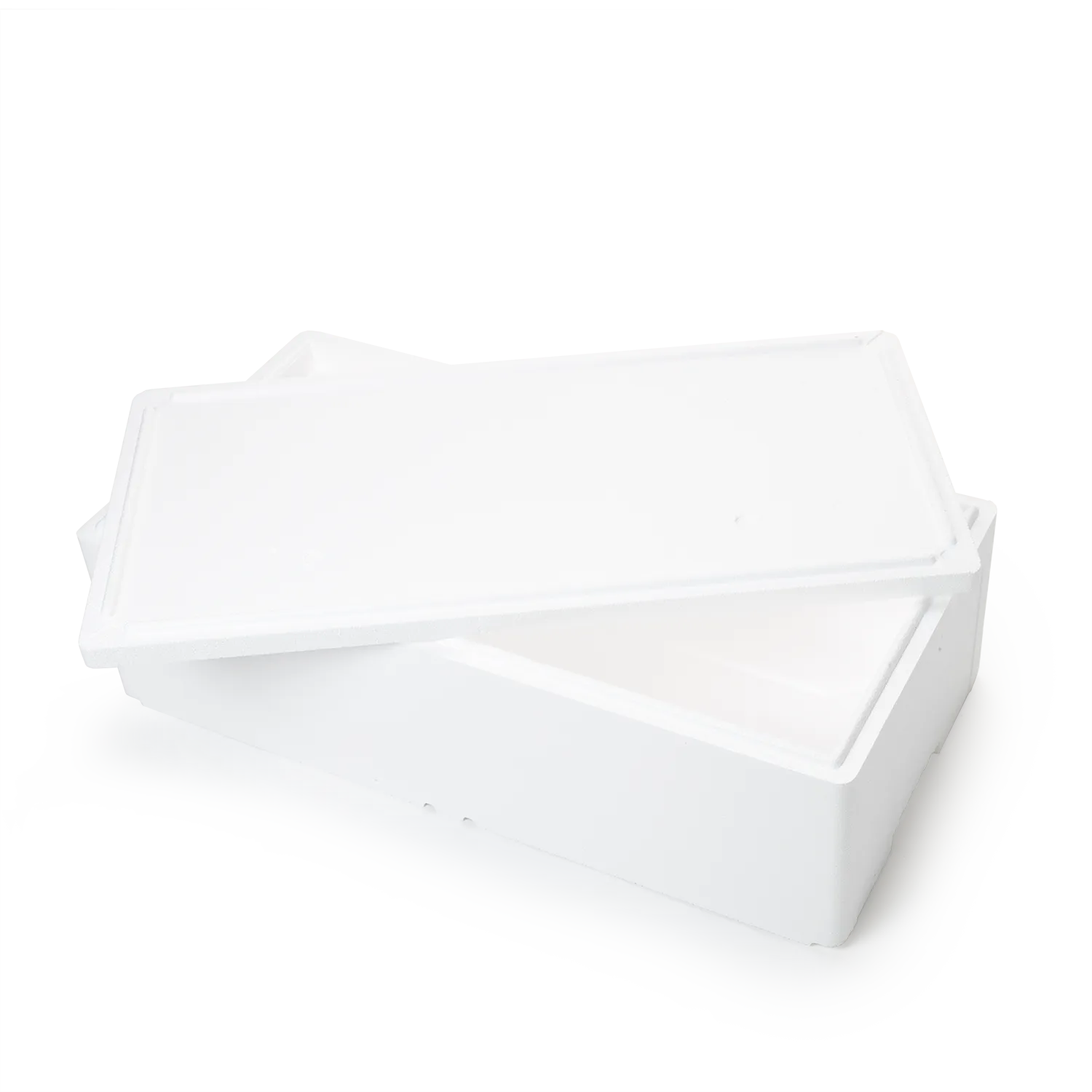 Kühl- und Transportbehälter 22,0 kg _02032mD_