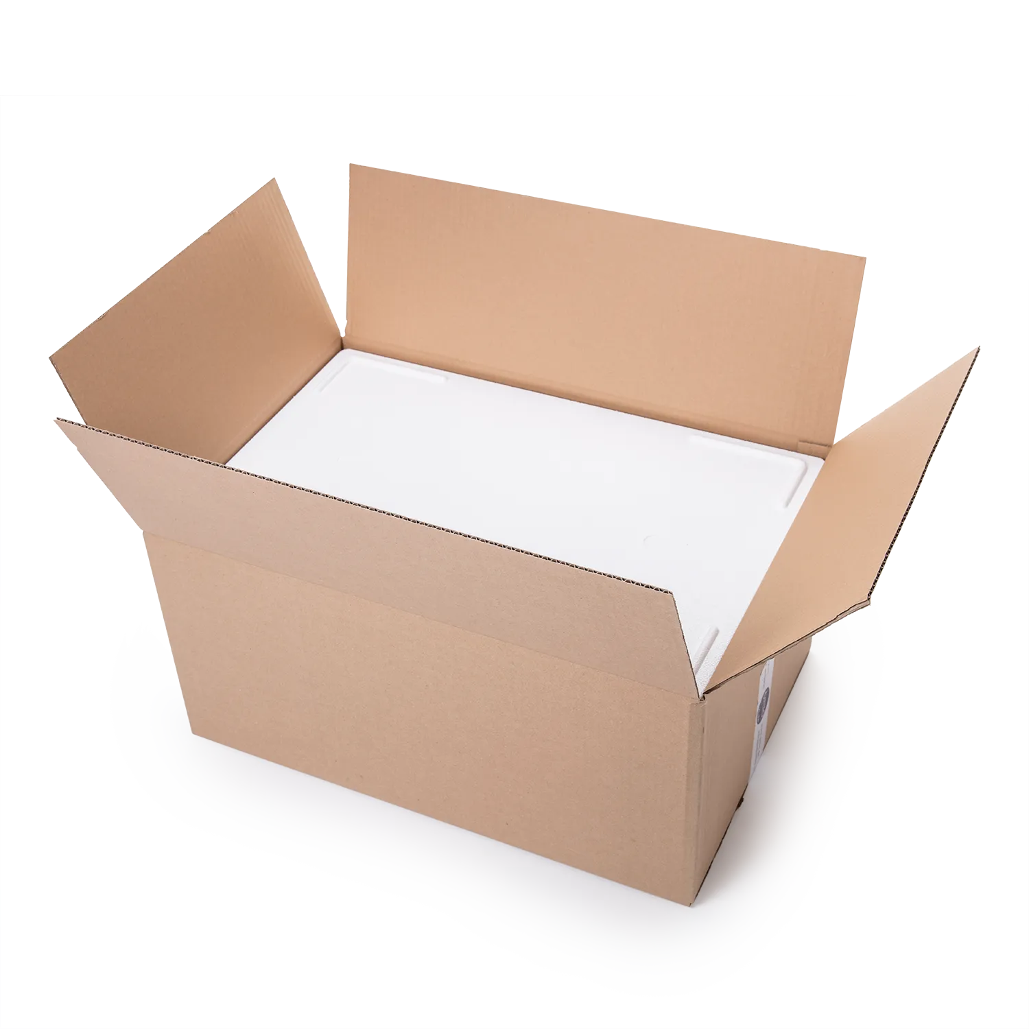 Kühl- und Transportbehälter 20 kg hoch o.E._02024mKmD_