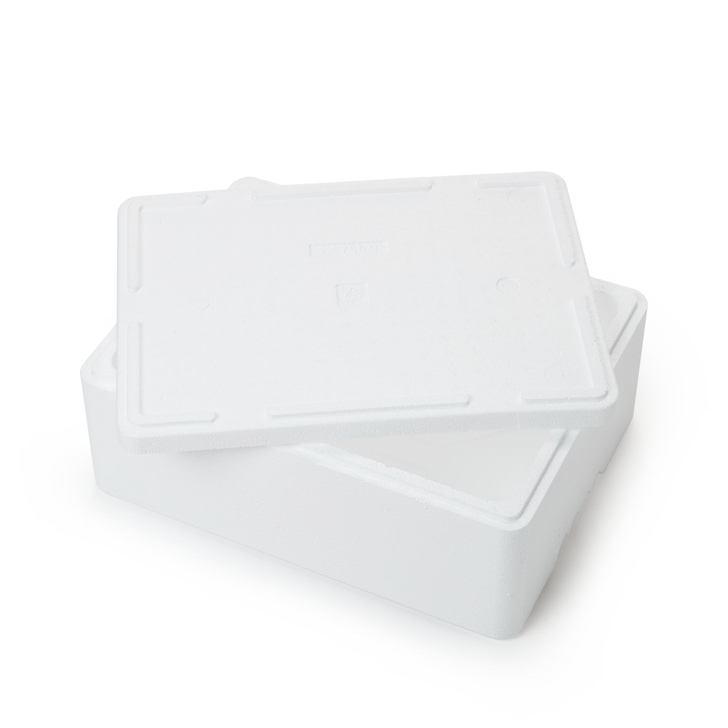 Kühl- und Transportbehälter 4,8 kg