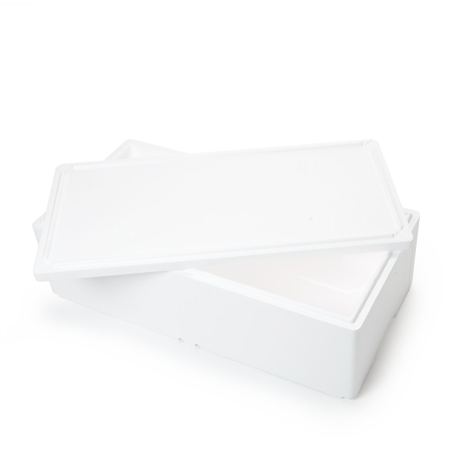 Kühl- und Transportbehälter 22,0 kg 