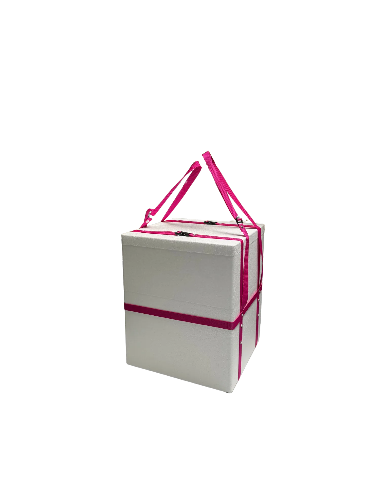 Bundle: Thermobox 80,0 l inkl. Tragegurt_06005_