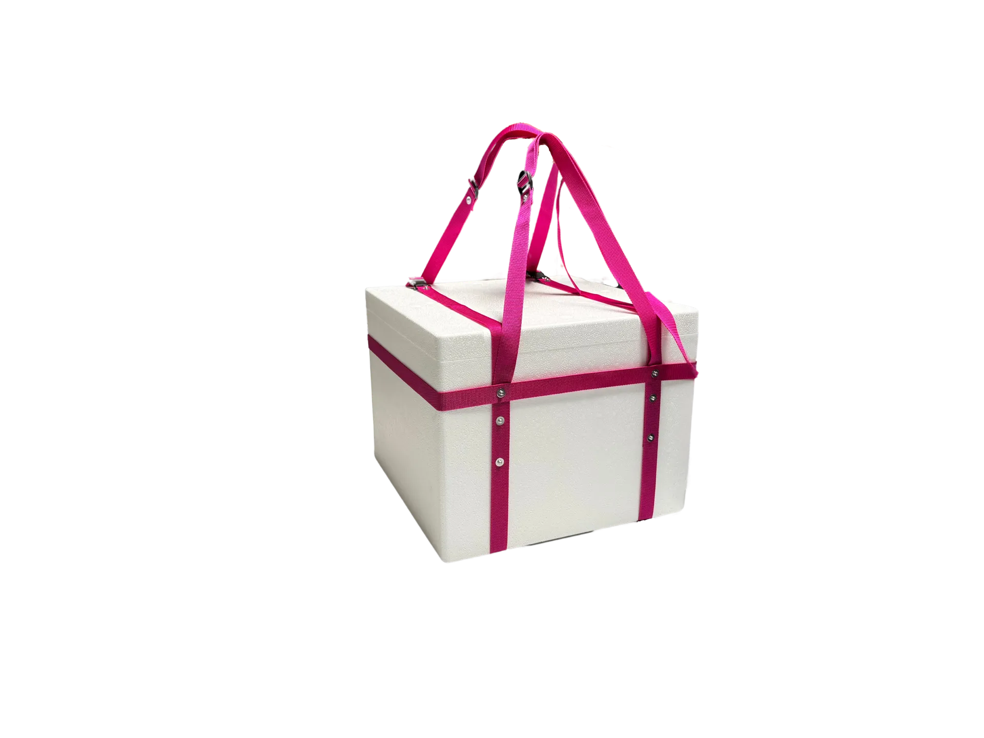 Tragegurt für T 48,0 / 80,0 l, mit Deckelsicherung_35002_