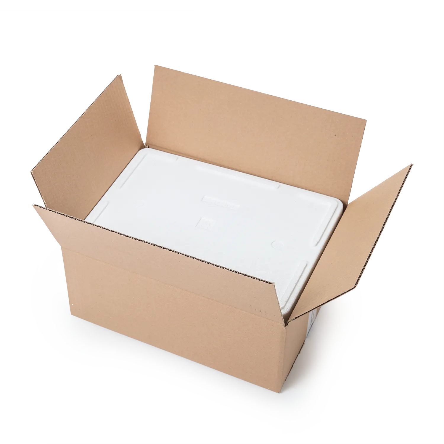 Kühl- und Transportbehälter 5 kg hoch o.E._02010mKmD_