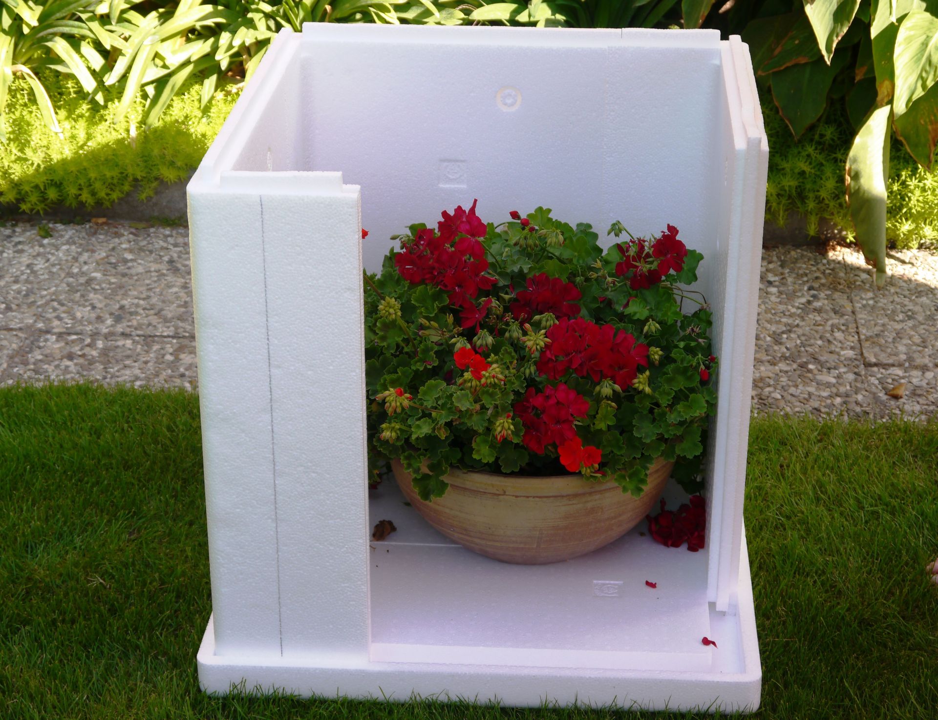 Florangerie - BASIC Variante M