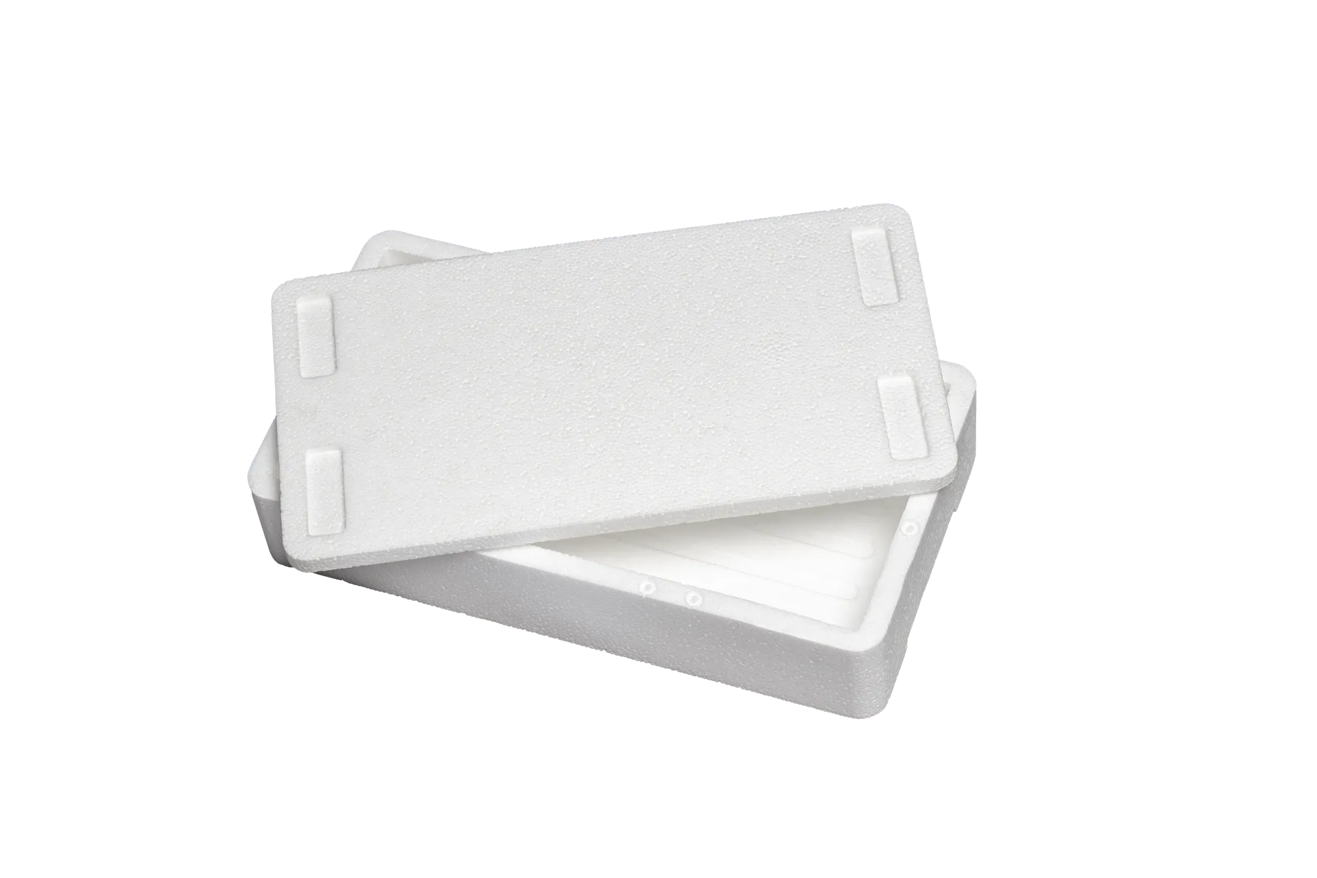 Kühl- und Transportbehälter 2 kg E_02006oKmD_