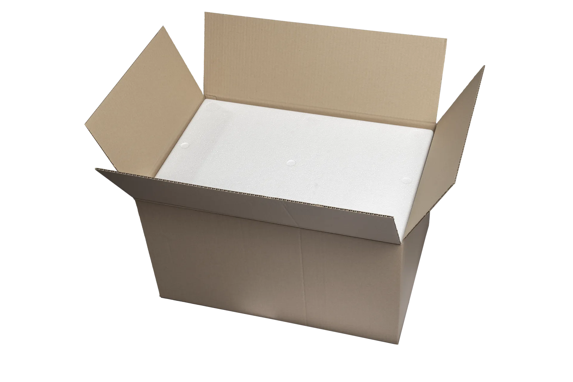 OHLRO Hartschaum GmbH-Kühl- und Transportbehälter 25 kg _02039mDmK_