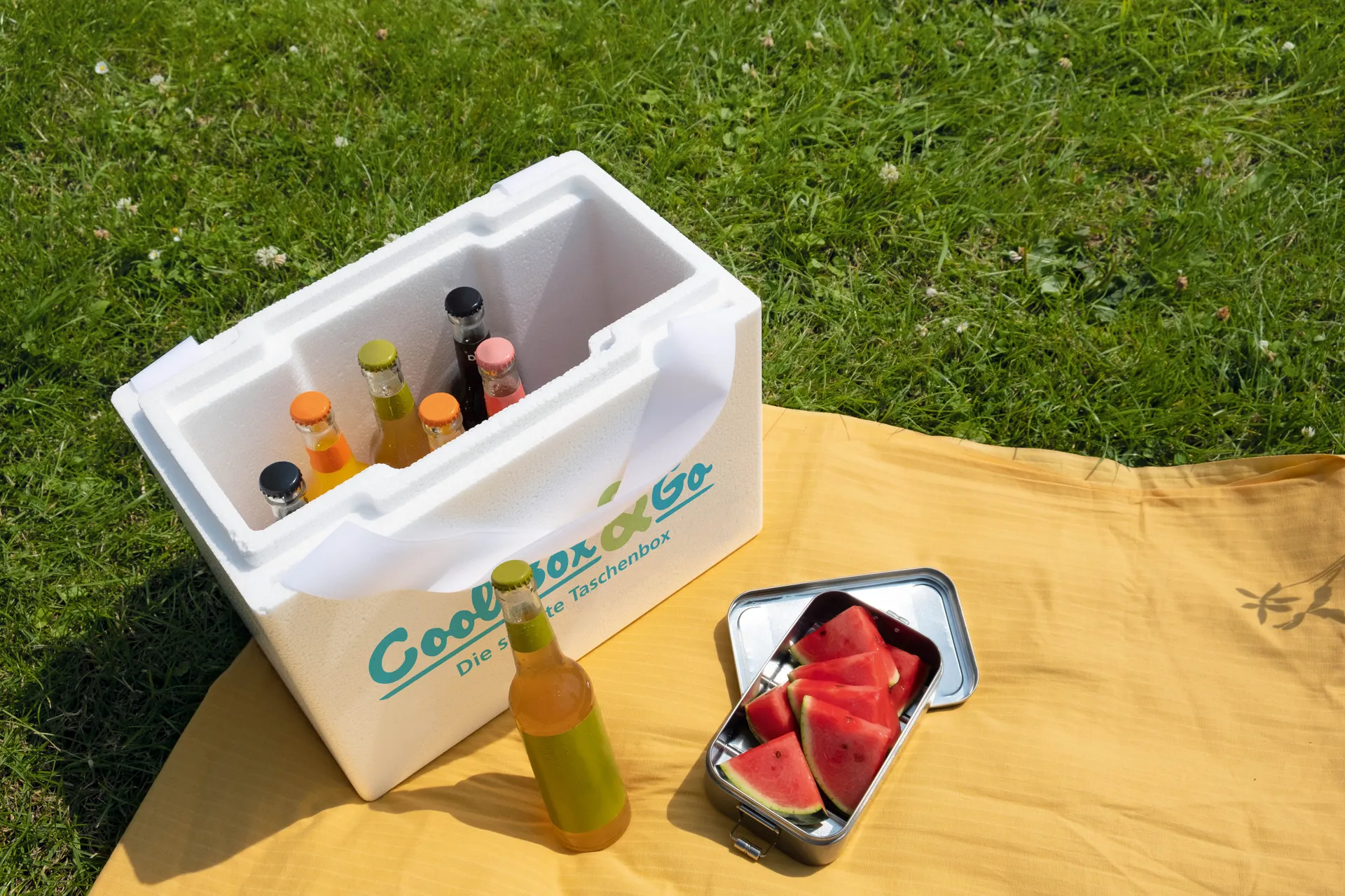 CoolBox & Go - Kühlbox mit Tragegurt_24011_