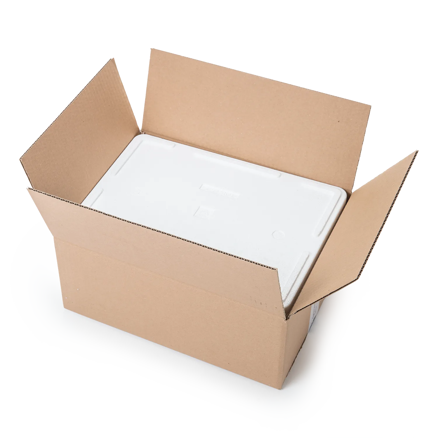 Kühl- und Transportbehälter 5 kg hoch m.E._02012mKmD_